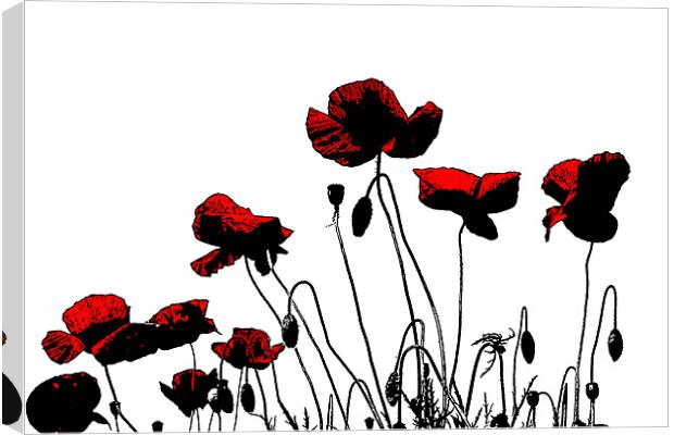 Painted Poppies Canvas Print by Ian Jeffrey