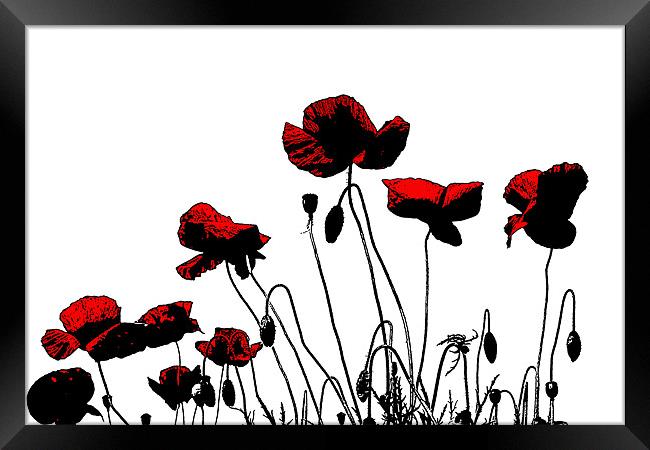 Painted Poppies Framed Print by Ian Jeffrey