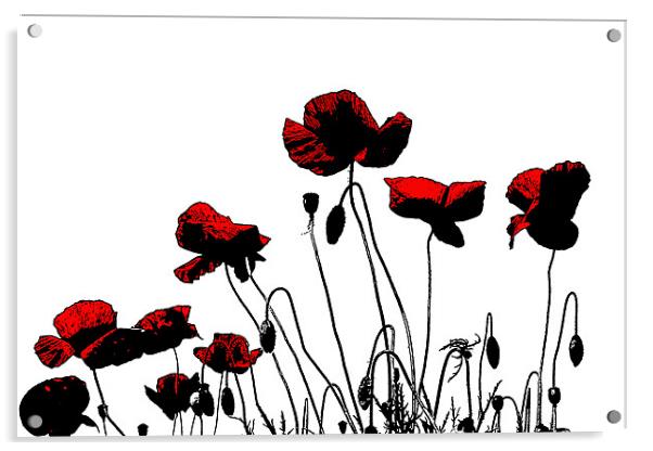 Painted Poppies Acrylic by Ian Jeffrey
