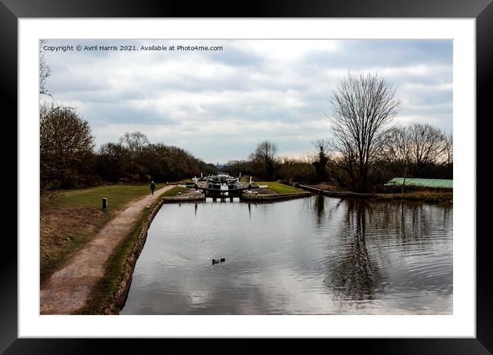 Hatton Locks Grand Union Canal Framed Mounted Print by Avril Harris