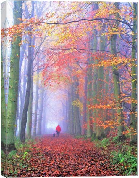 A misty autumn woodland walk Canvas Print by mick vardy