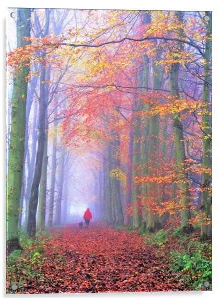 A misty autumn woodland walk Acrylic by mick vardy