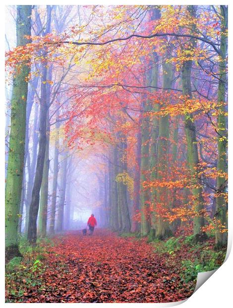 A misty autumn woodland walk Print by mick vardy