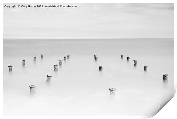 Pier Stumps Print by Gary Horne