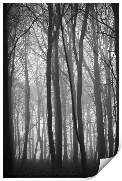 woodland symmetry Print by Simon Johnson
