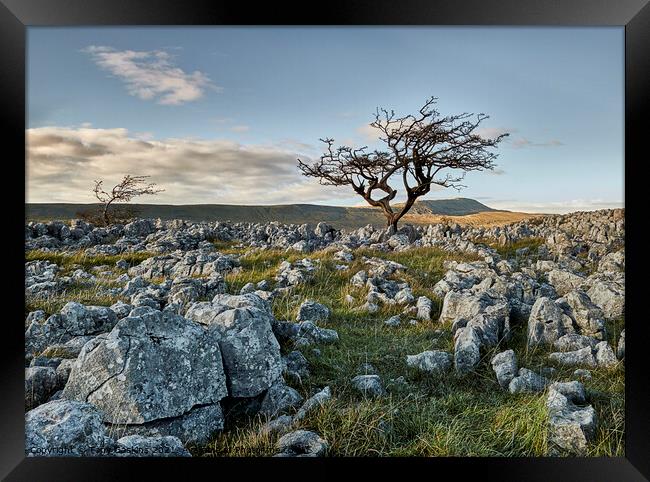 Towards Whernside from Ingleborough, Yorkshire Dales  Framed Print by Tony Gaskins