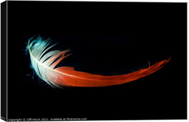 Flamingo feather Canvas Print by Cliff Kinch