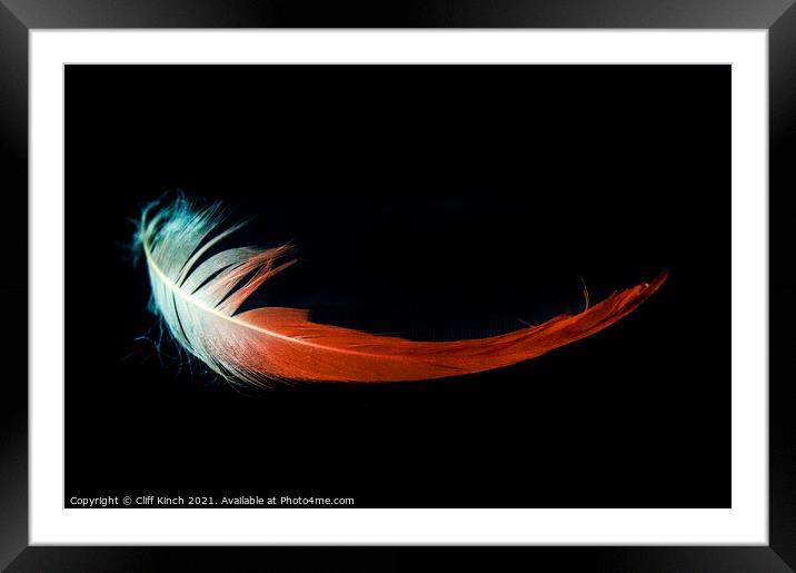 Flamingo feather Framed Mounted Print by Cliff Kinch