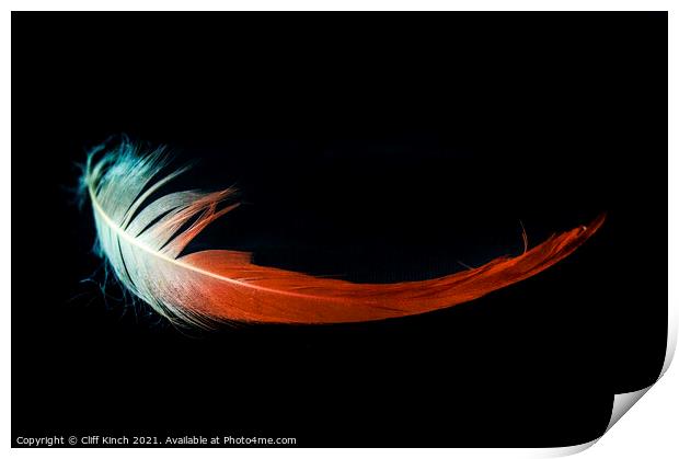 Flamingo feather Print by Cliff Kinch