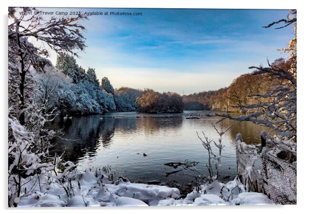 Winter Wonderland at Coppice Pond Acrylic by Trevor Camp