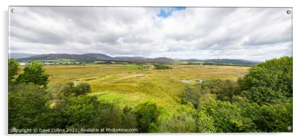 Panorama of RSPB Insh Marshes,  Highlands, Scotland Acrylic by Dave Collins