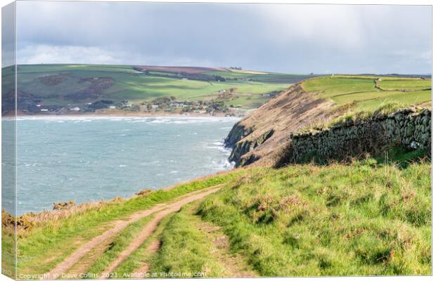Croyde to Putsborough footpath Canvas Print by Dave Collins