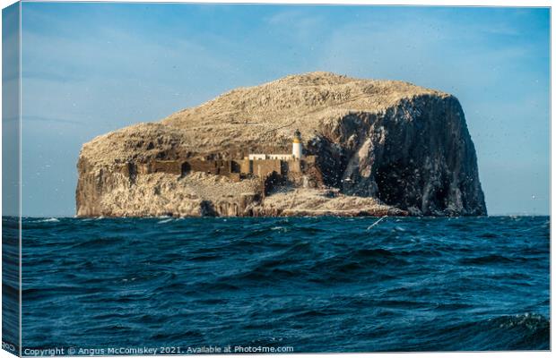 Approaching the Bass Rock Canvas Print by Angus McComiskey