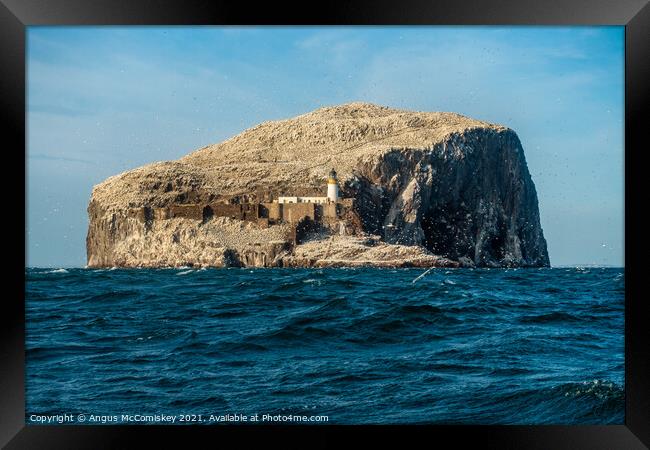 Approaching the Bass Rock Framed Print by Angus McComiskey