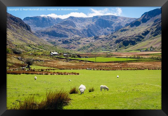Nant Ffrancon Valley View to Glyders in Snowdonia Framed Print by Pearl Bucknall