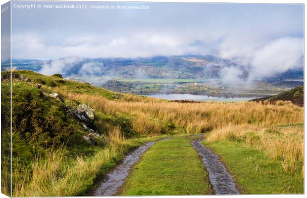 Rhinogs Country Track Canvas Print by Pearl Bucknall