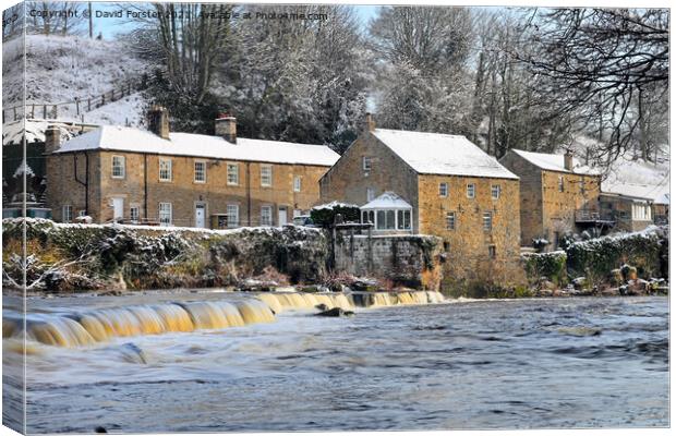 The River Tees and Demesnes Mill in Winter, Barnar Canvas Print by David Forster
