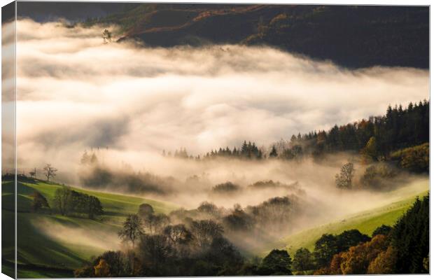 Misty morning Canvas Print by Clive Ashton