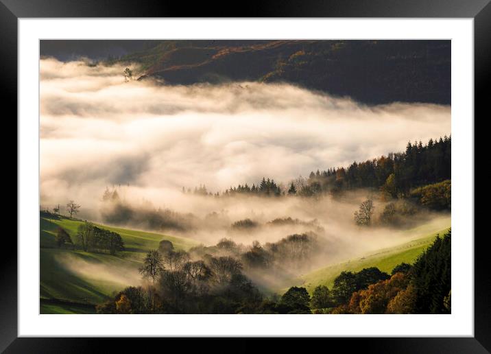 Misty morning Framed Mounted Print by Clive Ashton