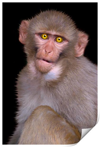 Young Rhesus Macaque Paintover Effect Print by Serena Bowles