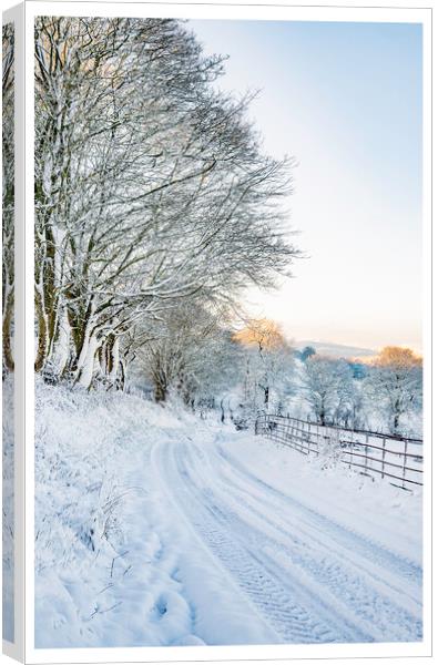 The snowy road home Canvas Print by Clive Ashton