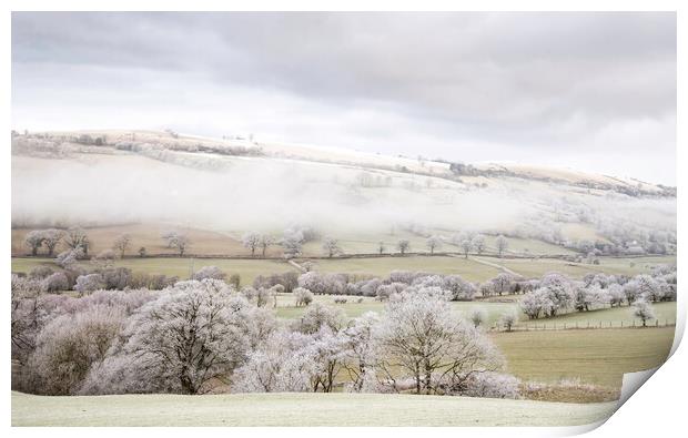Mist and Frost Print by Clive Ashton