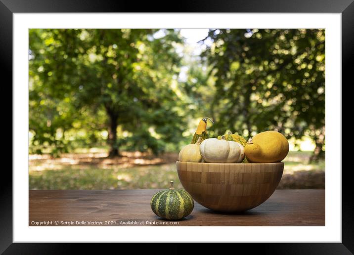 some colorful pumpkins  Framed Mounted Print by Sergio Delle Vedove