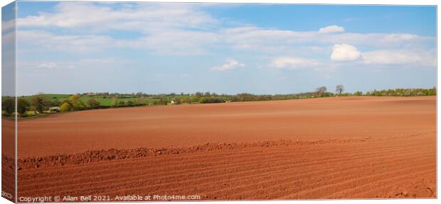 Red Earth Ploughed Field Canvas Print by Allan Bell