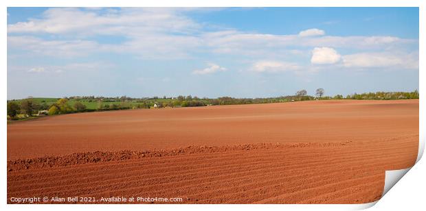 Red Earth Ploughed Field Print by Allan Bell