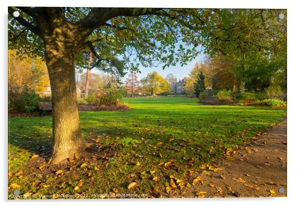 Autumn in Westgate Gardens, Canterbury Acrylic by Stewart Mckeown