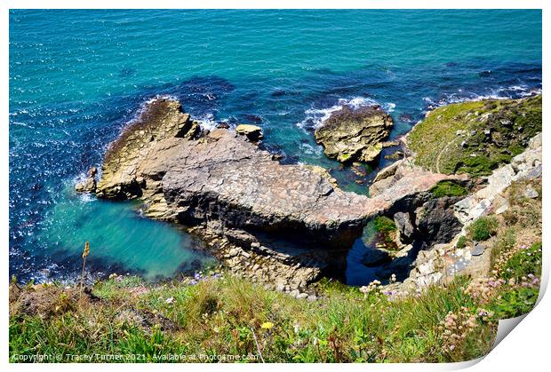 Pembrokeshire Coast Path Print by Tracey Turner