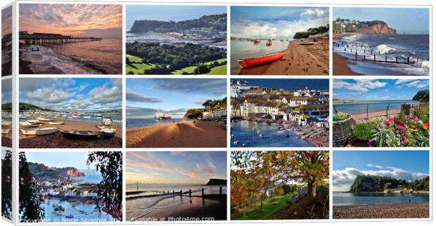 Teignmouth and Shaldon throughout the seasons Canvas Print by Rosie Spooner