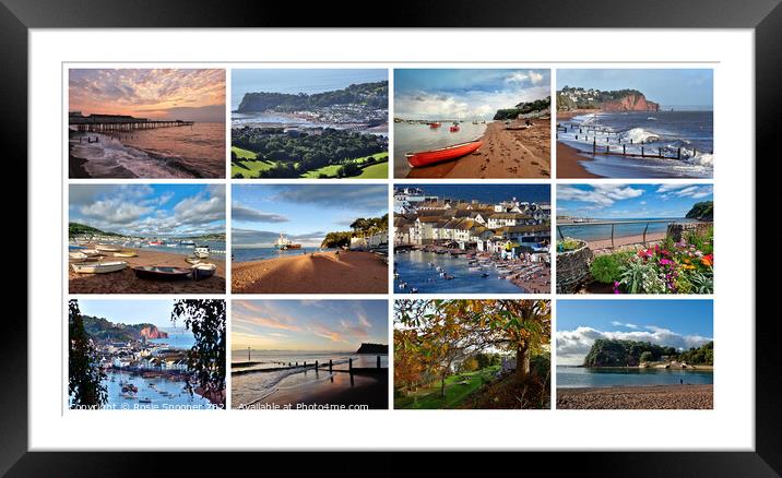 Teignmouth and Shaldon throughout the seasons Framed Mounted Print by Rosie Spooner