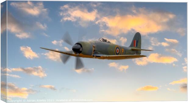 Hawker Sea Fury Canvas Print by Adrian Rowley