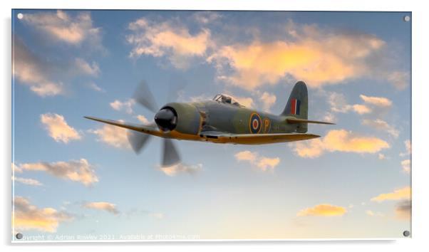 Hawker Sea Fury Acrylic by Adrian Rowley