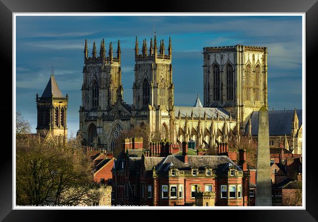 York minster from the bar walls 55 Framed Print by PHILIP CHALK