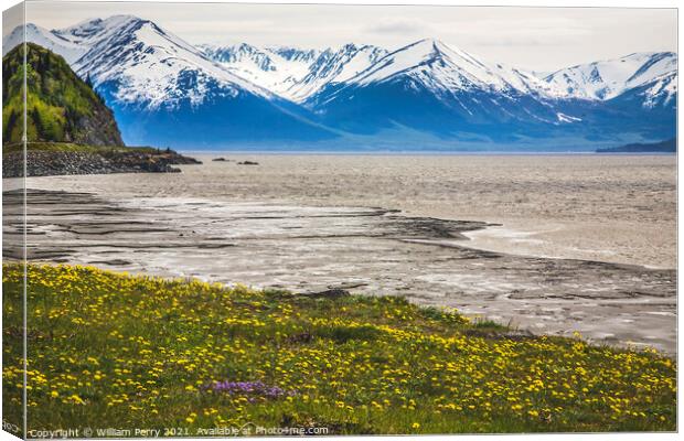 Snow Mountains Yellow Flowers Ocean Seward Highway Anchorage Ala Canvas Print by William Perry
