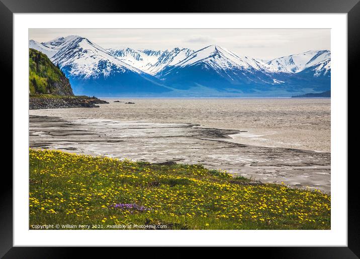 Snow Mountains Yellow Flowers Ocean Seward Highway Anchorage Ala Framed Mounted Print by William Perry