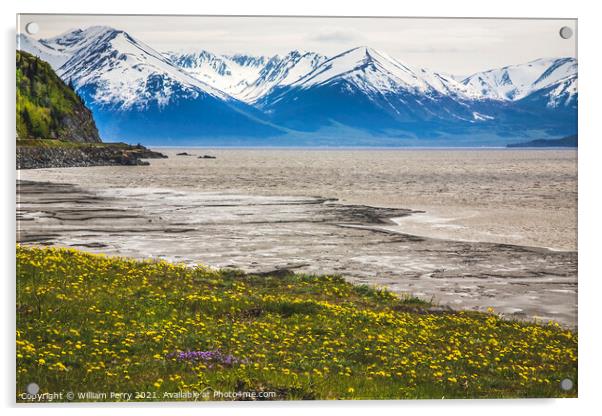 Snow Mountains Yellow Flowers Ocean Seward Highway Anchorage Ala Acrylic by William Perry