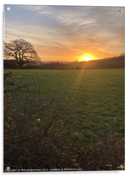 January Devon dawn over Devon fields Acrylic by Phil Vandenhove