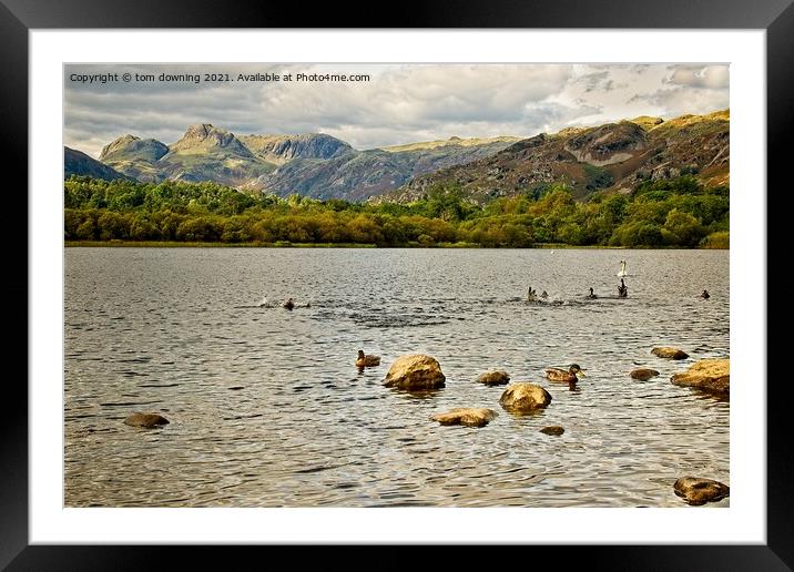 A view from Elterwater Framed Mounted Print by tom downing