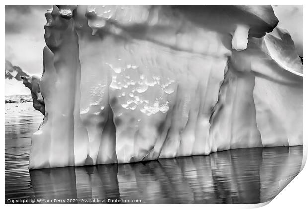 Floating Iceberg Reflection Paradise Bay Antarctica Print by William Perry