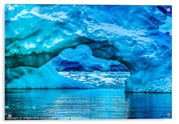 Blue Iceberg Arch Reflection Paradise Bay Skintorp Cove Antarcti Acrylic by William Perry