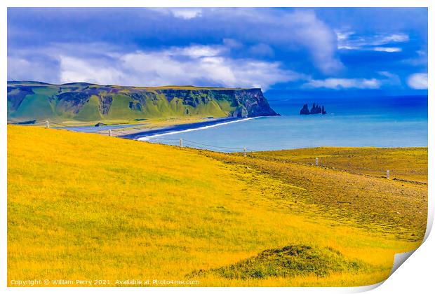 Green Cliff Dyrholaey Park Reynisfjara Black Sand Beach Iceland Print by William Perry