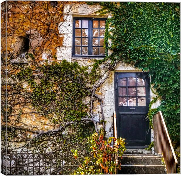 Ivy Covered House  Canvas Print by Jacqui Farrell