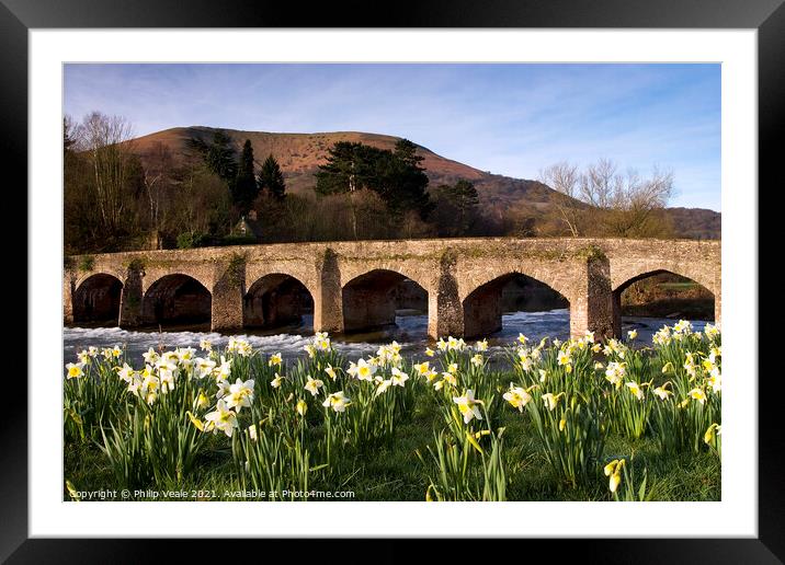 Llanfoist Bridge and Daffodils at Sunrise. Framed Mounted Print by Philip Veale