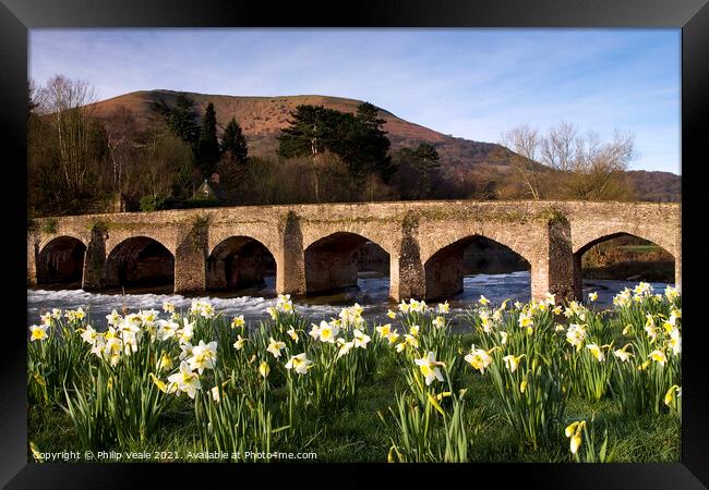 Llanfoist Bridge and Daffodils at Sunrise. Framed Print by Philip Veale