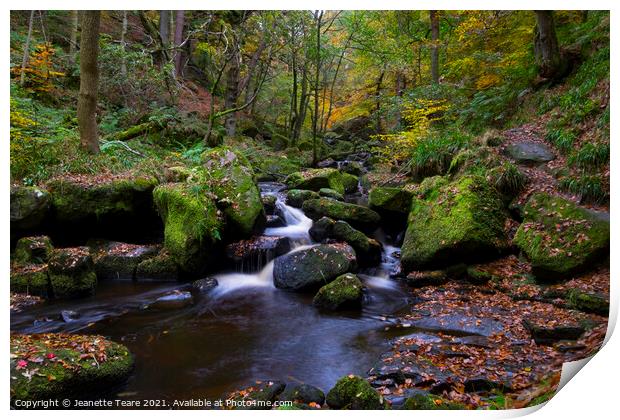 Padley Gorge waterfalls, autumn leaves and moss covered rocks in the Peak District Print by Jeanette Teare