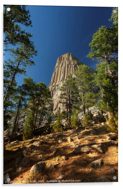 Devils Tower Acrylic by Peter Scott