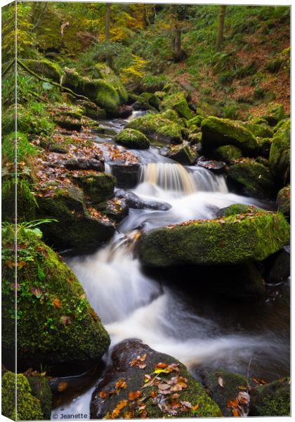Padley Gorge waterfall Canvas Print by Jeanette Teare